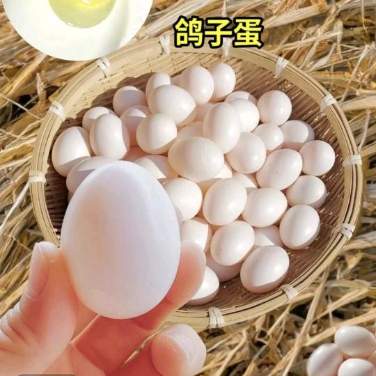 好邻舍商贸中心