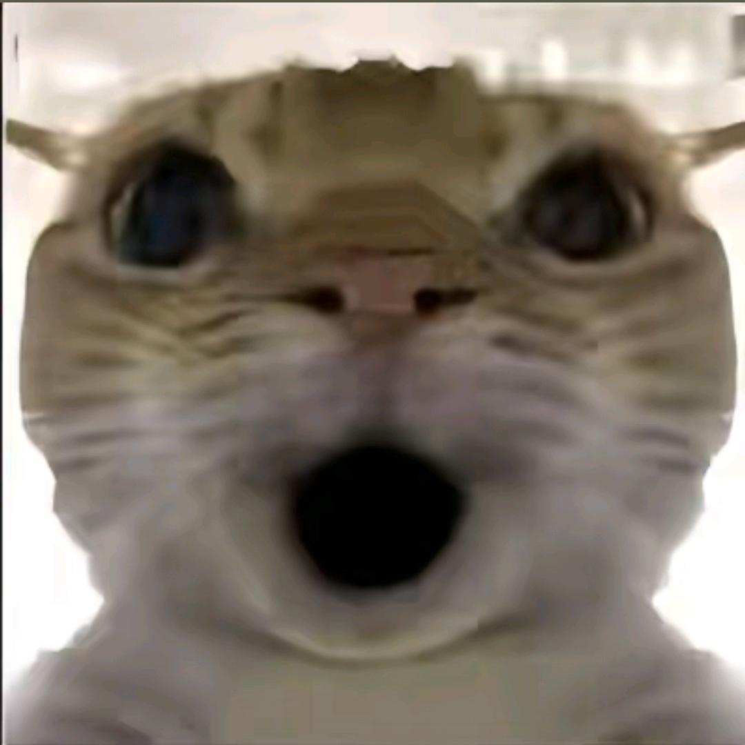 枪皮圆梦(提前沟通)