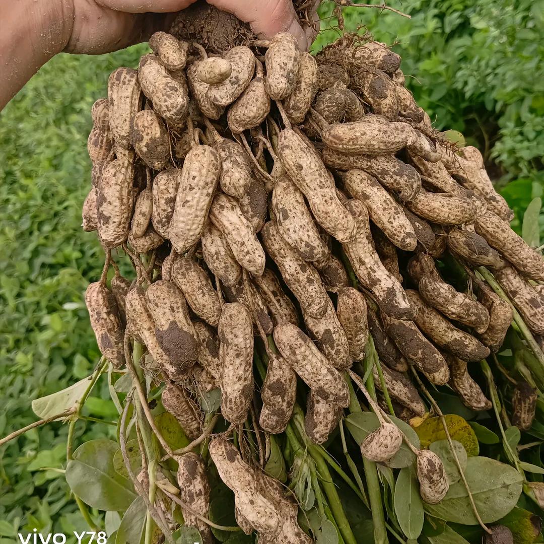 好物优选