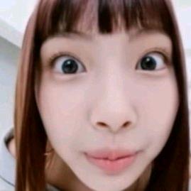 绿色小猫（美丽大方版）