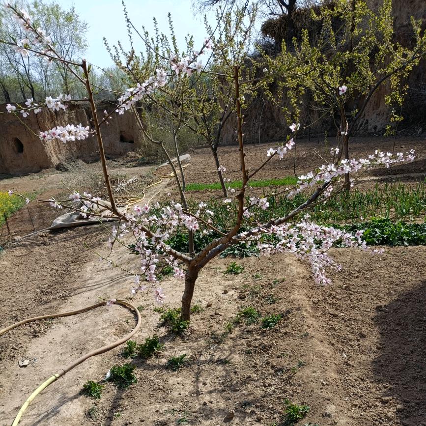 〃重新洗牌"‘“”’