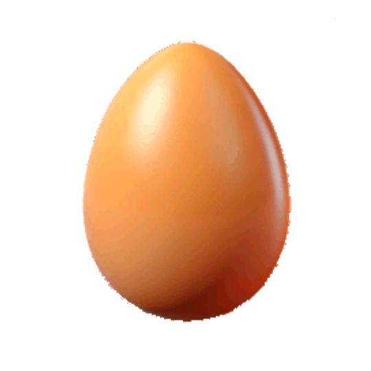 主持是个怂🥚