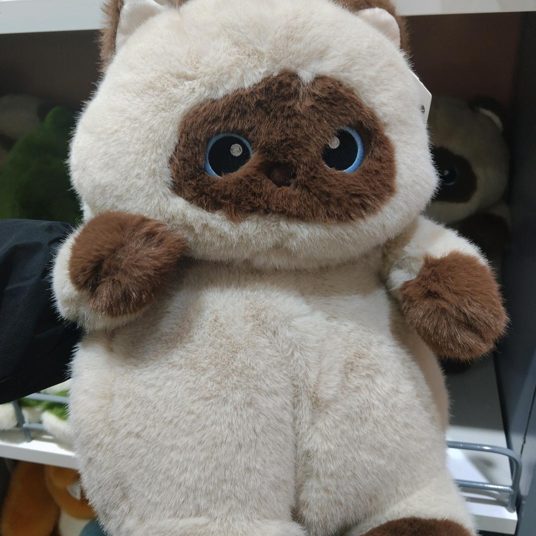 小孩