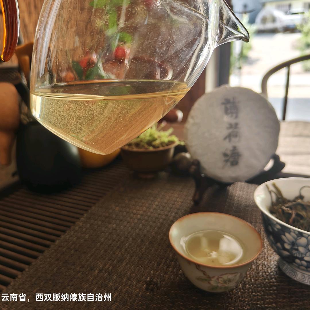 易武茶姑娘（薄荷塘核心产区、弯弓茶农）