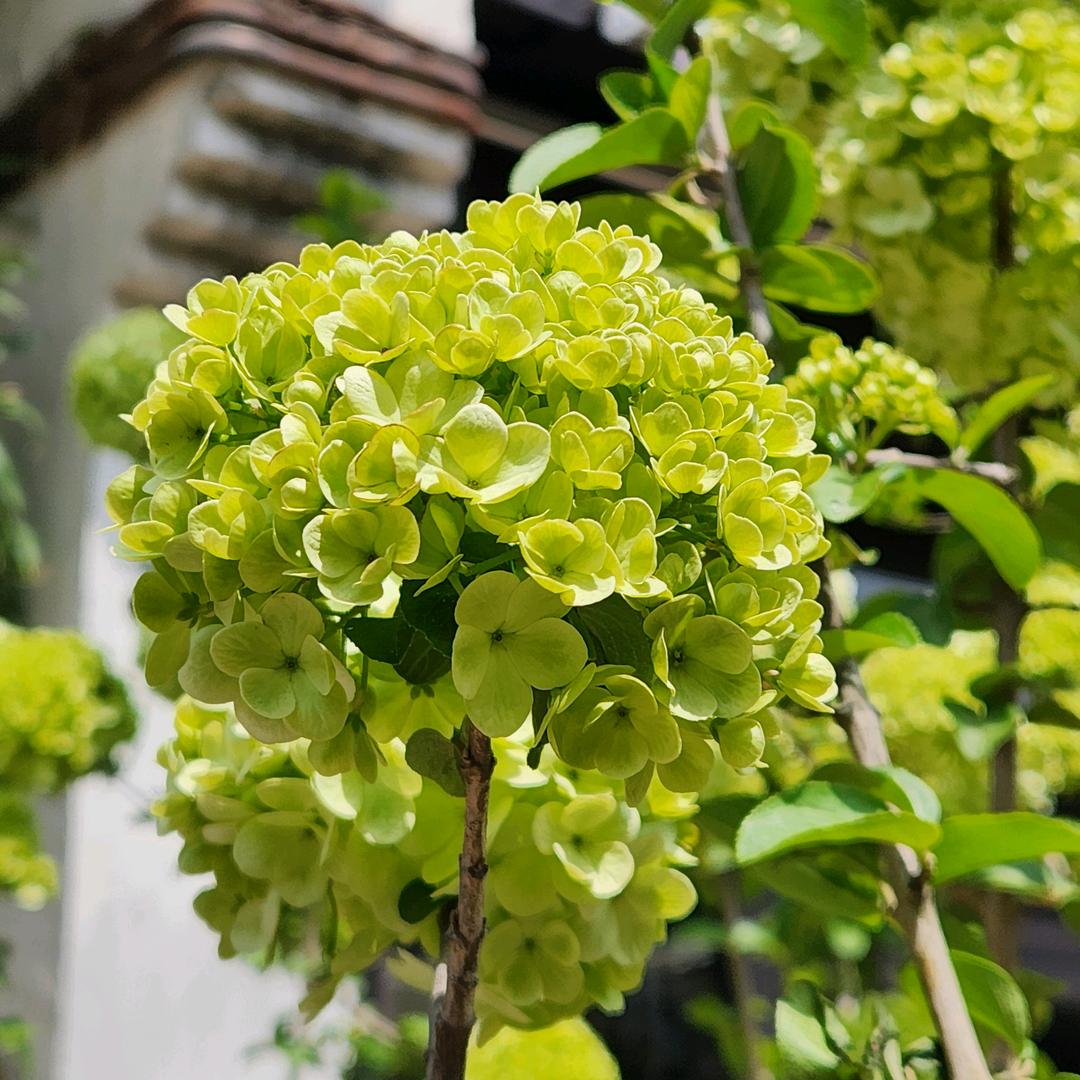 💕岁月静好💕