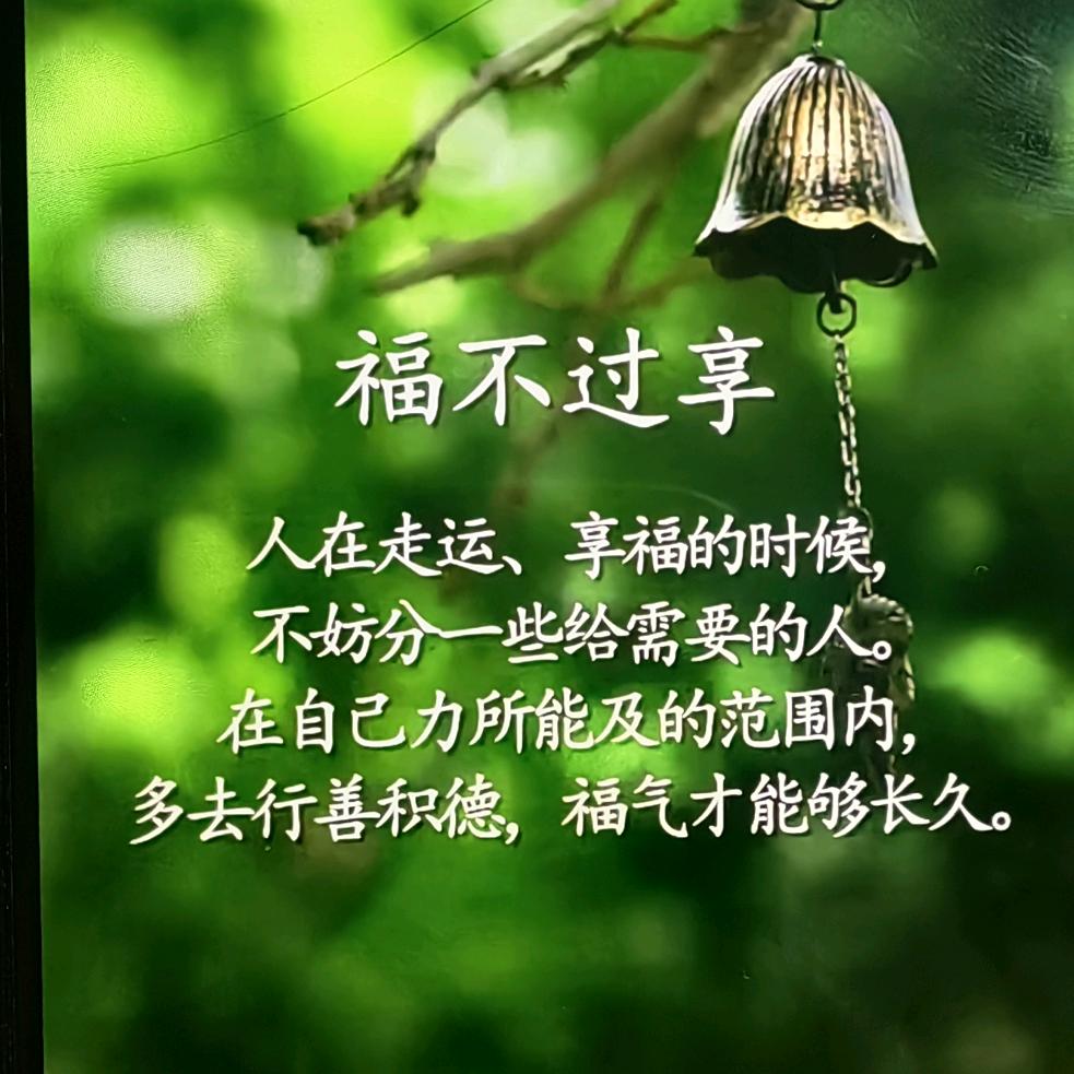 小鱼家的杂货铺子