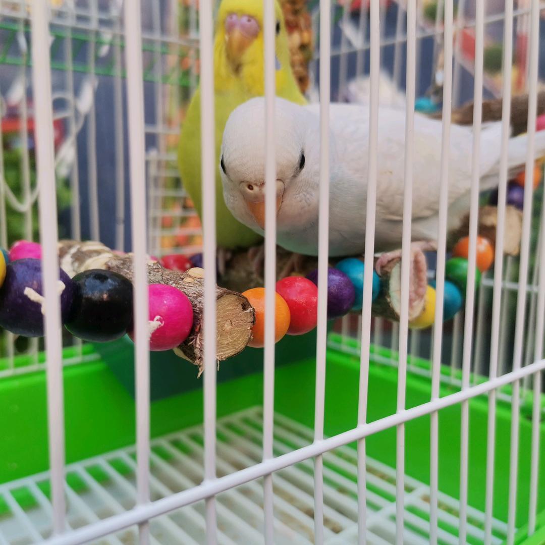 晓晓讲故事