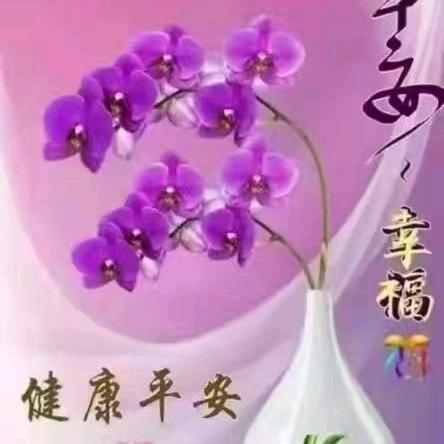 🌹你🌹是🌹我🌹的🌹未🌹来🌹