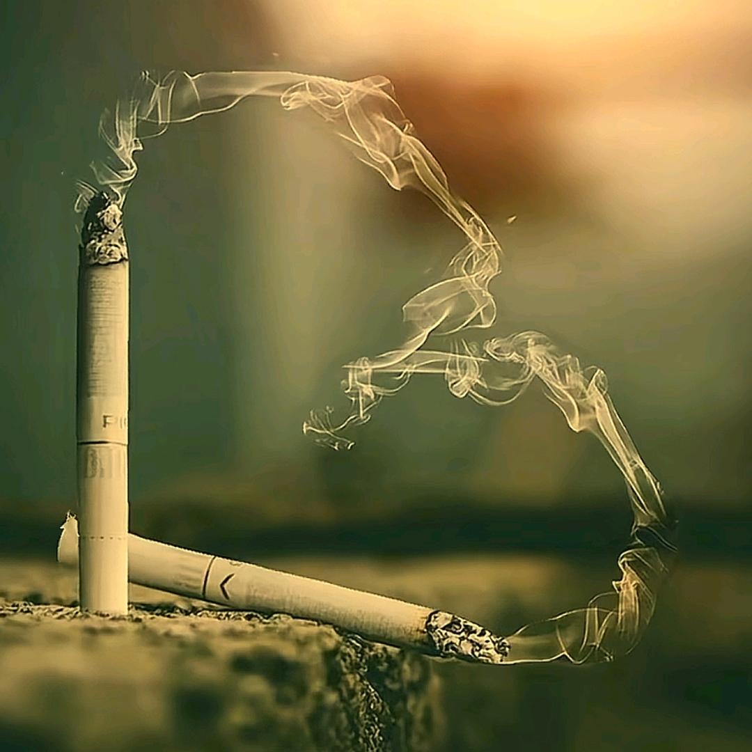 心有一人,念其一生