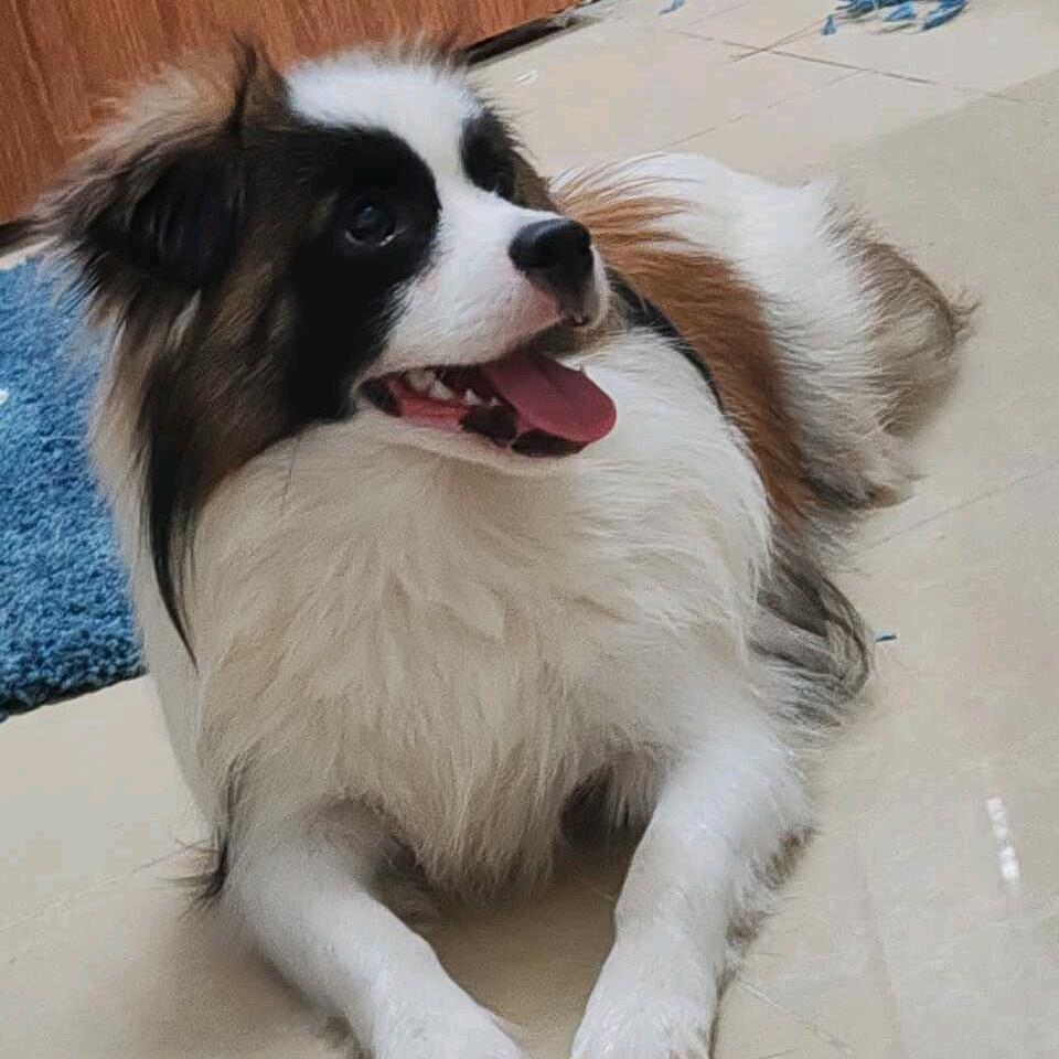 小陈淘好物