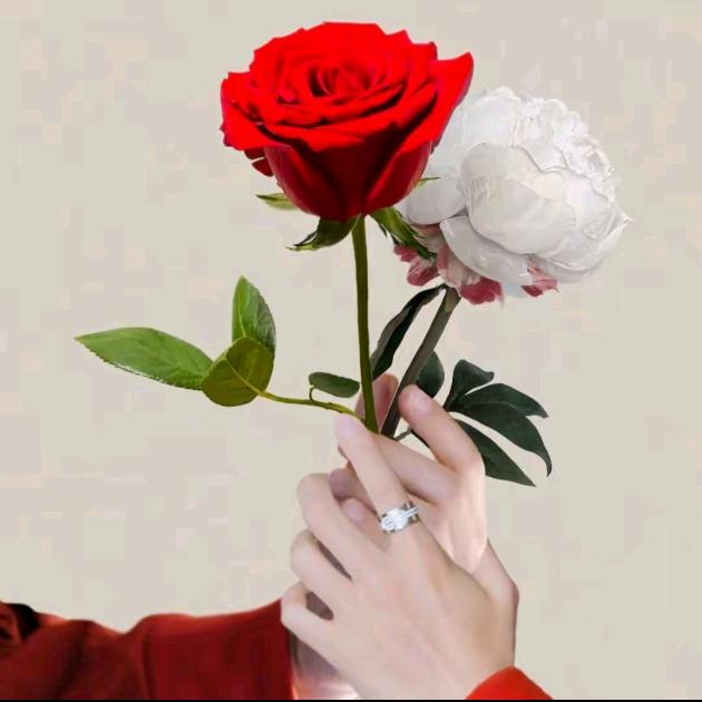 冰摇红莓黑加仑Ꮤ.Ƶ.