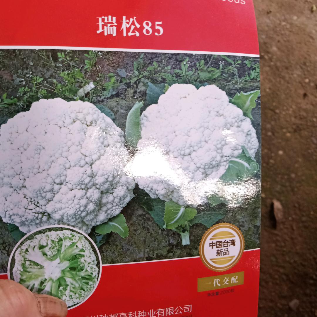 🥕磊叫不改💜🌷往会做人🌺🌈