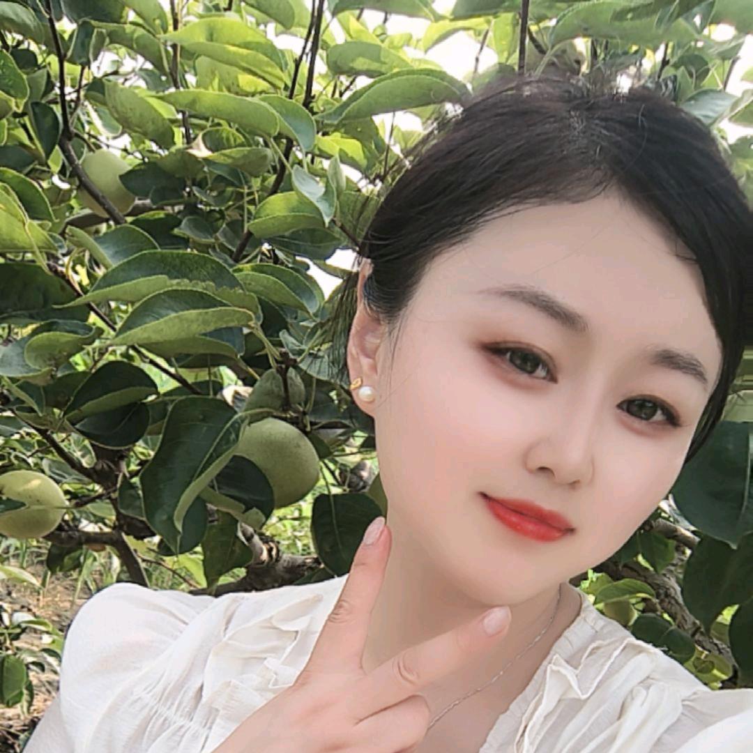蒙城篱笆~梨园