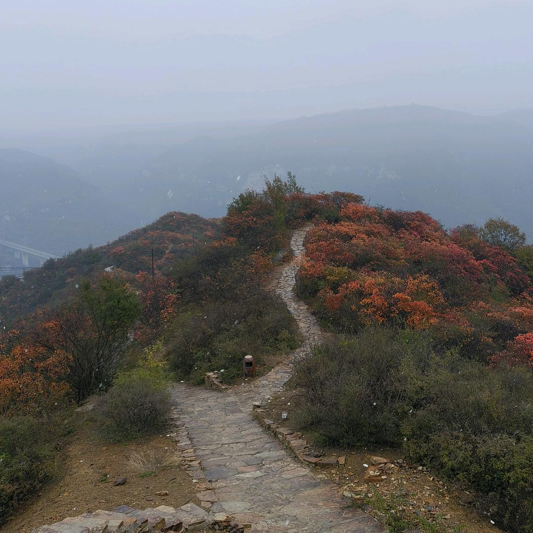 AZJ