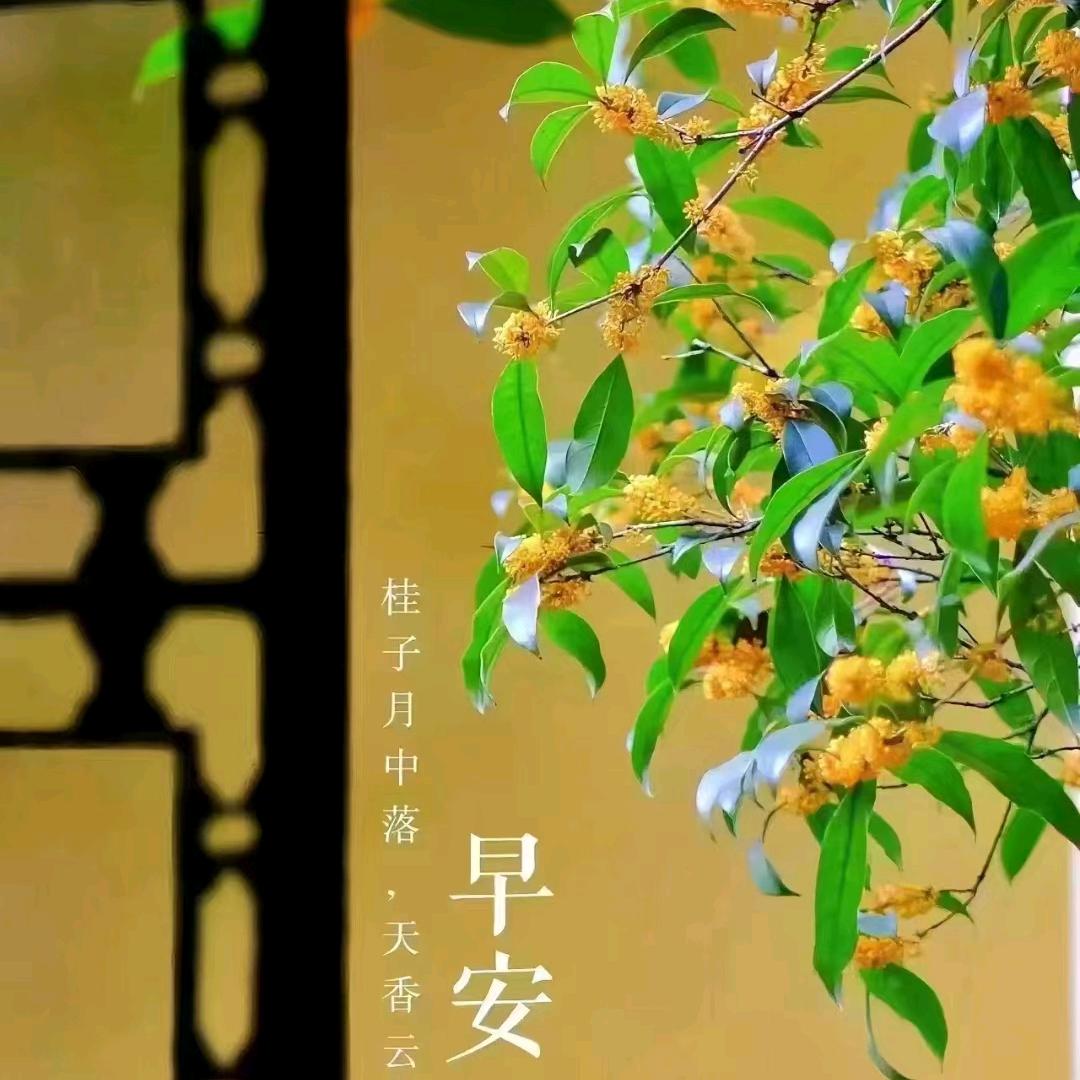 AE健康是福