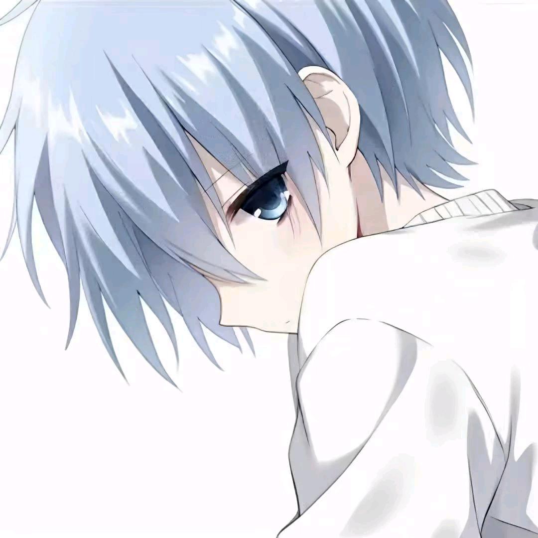 小航6