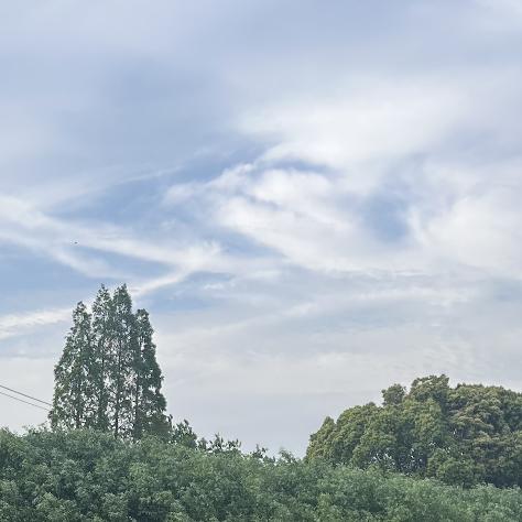 玖之琳百货商行