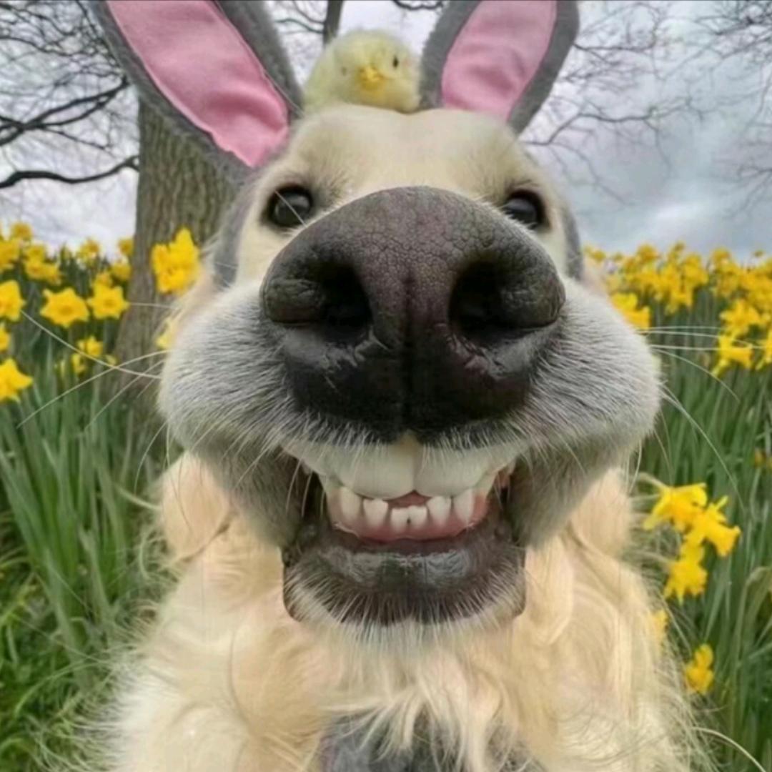 ࿌初ོ͙夏ོ͙⌇