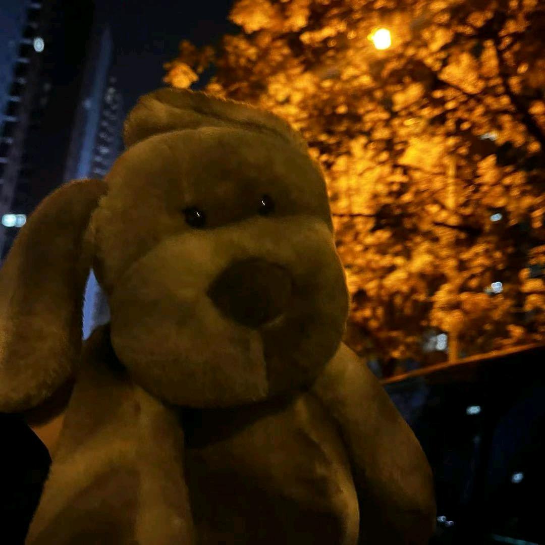 批发捷途的小杨