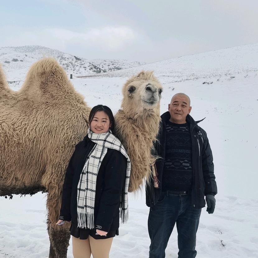 养骆驼的小姑娘🥳