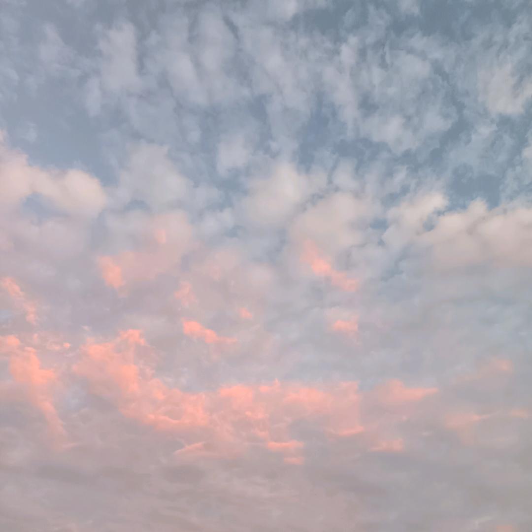 春 天 的 故 事