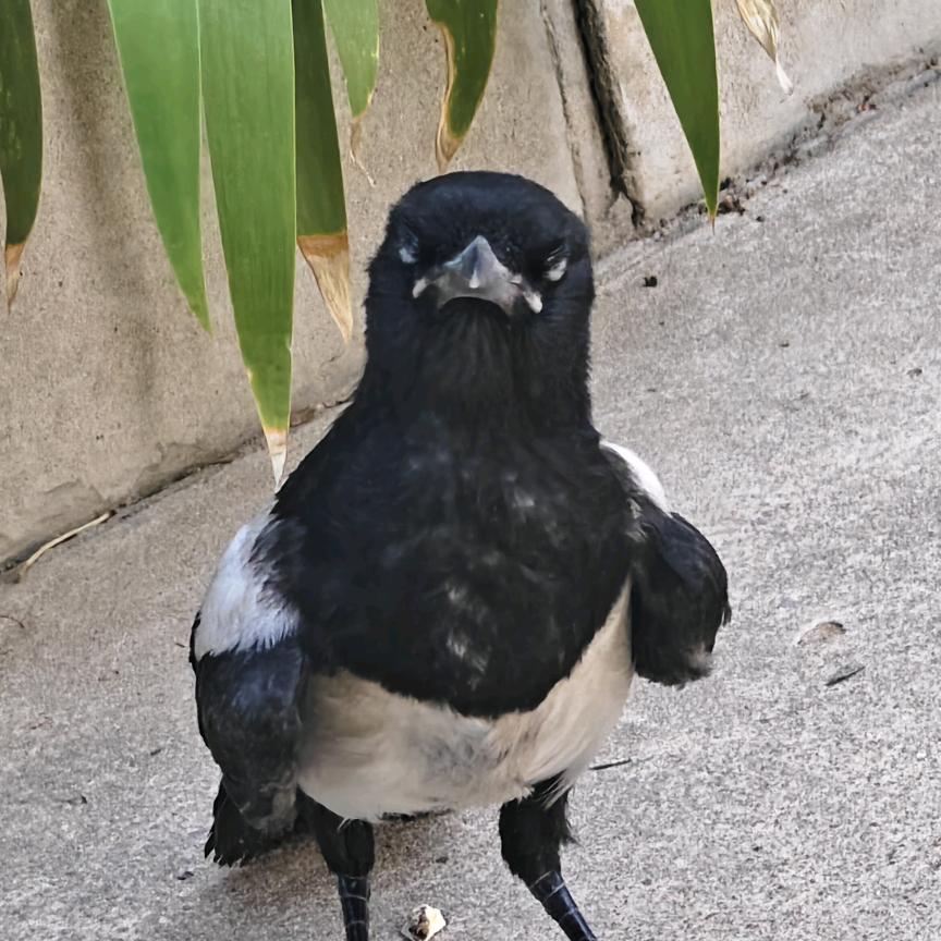 。？。