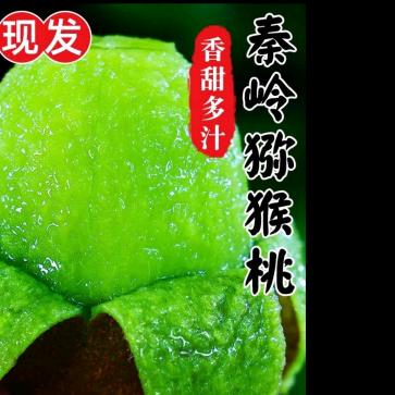 秦岭果业｜猕猴桃