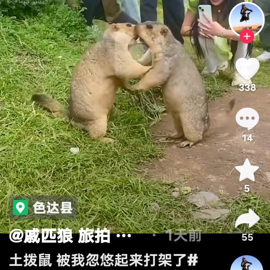 没得说