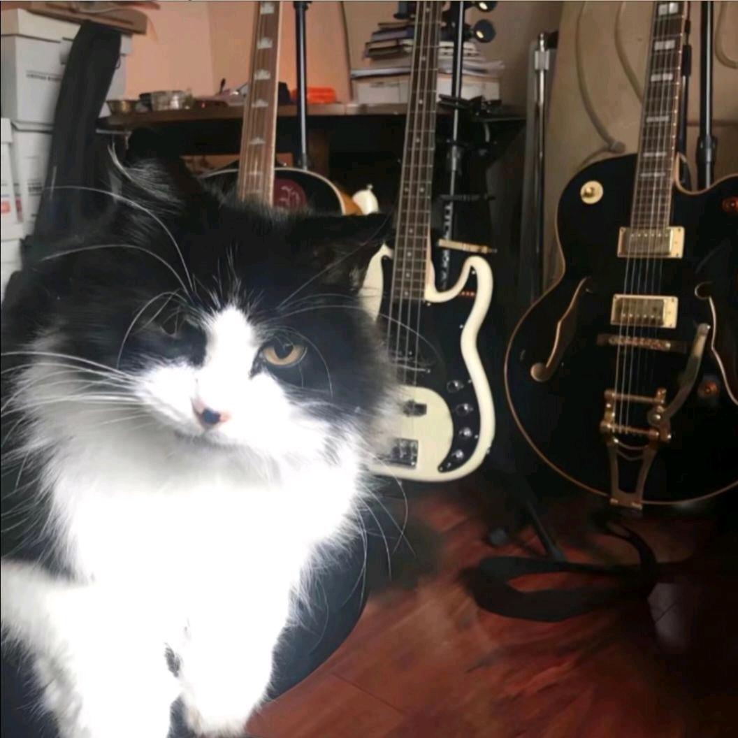 茁小健少儿运动--孙教练💓