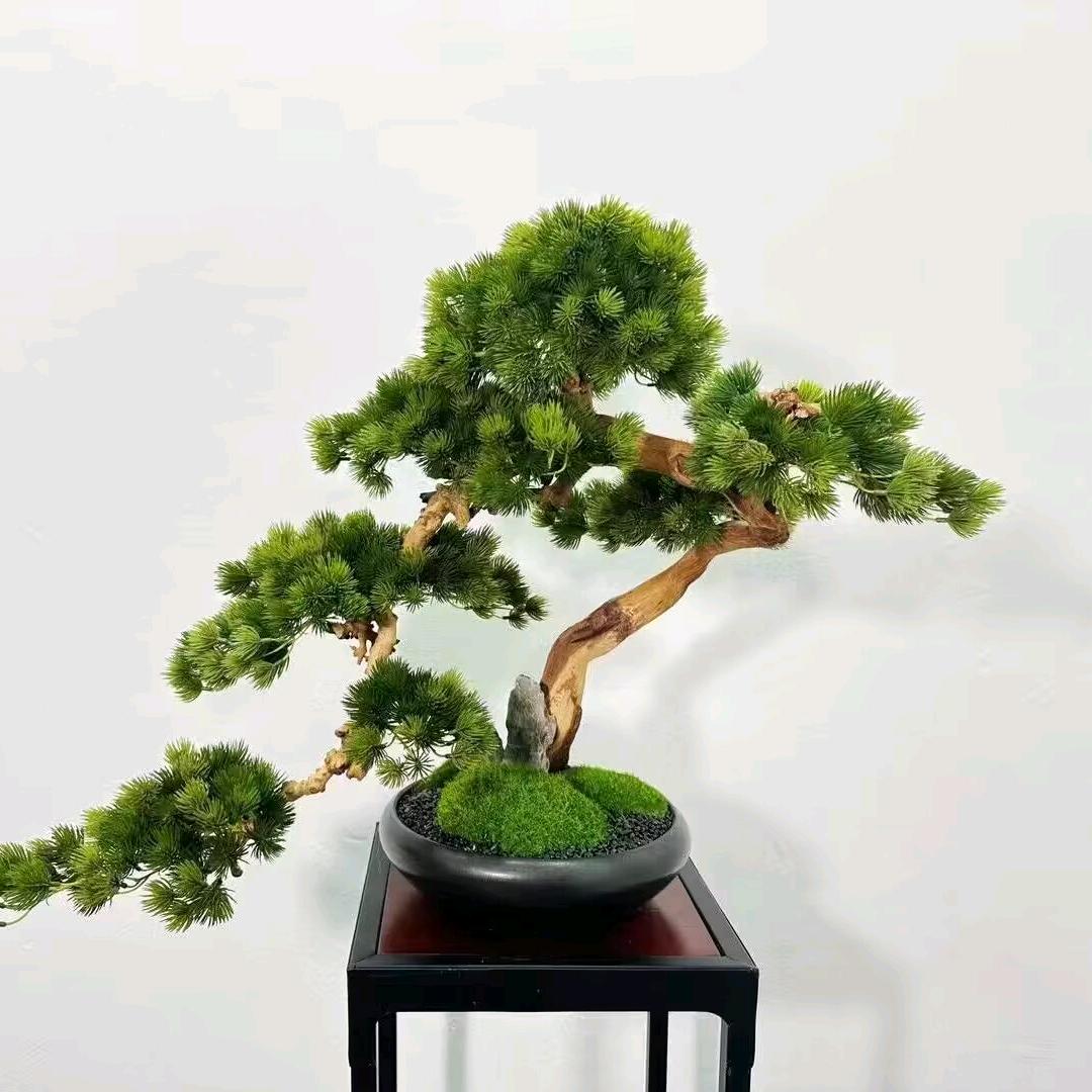 乐乐陶瓷