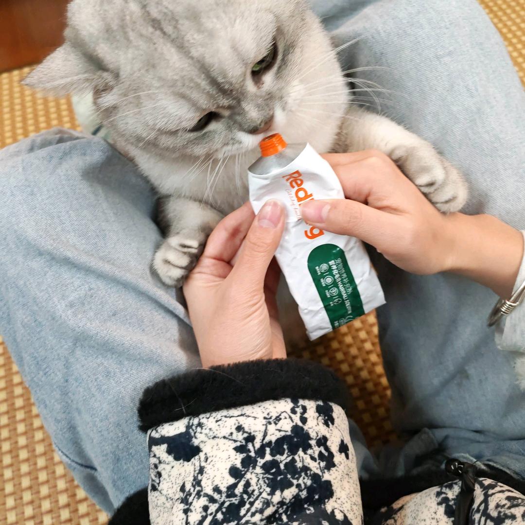 袁姐