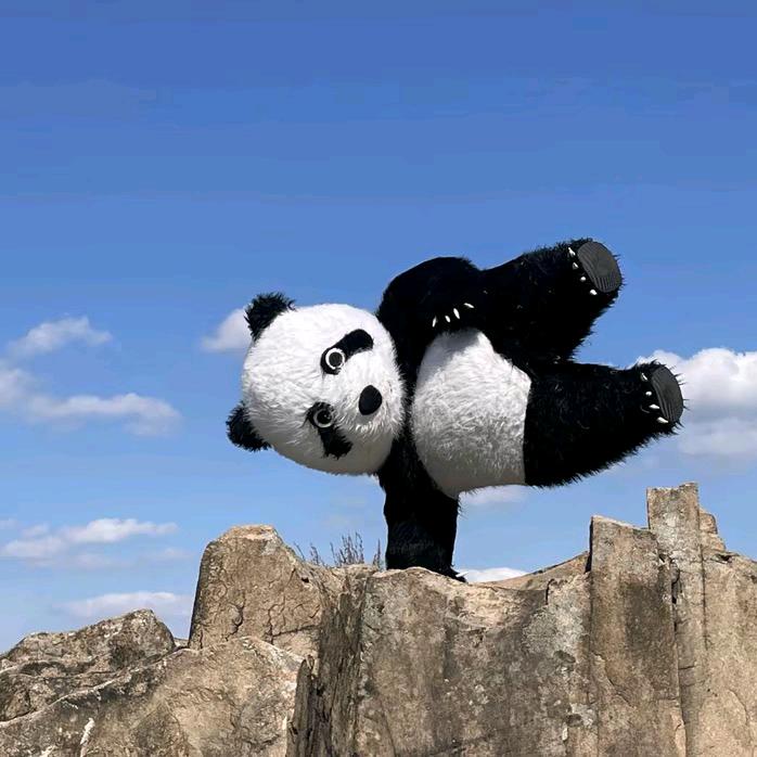 功夫熊猫阿军