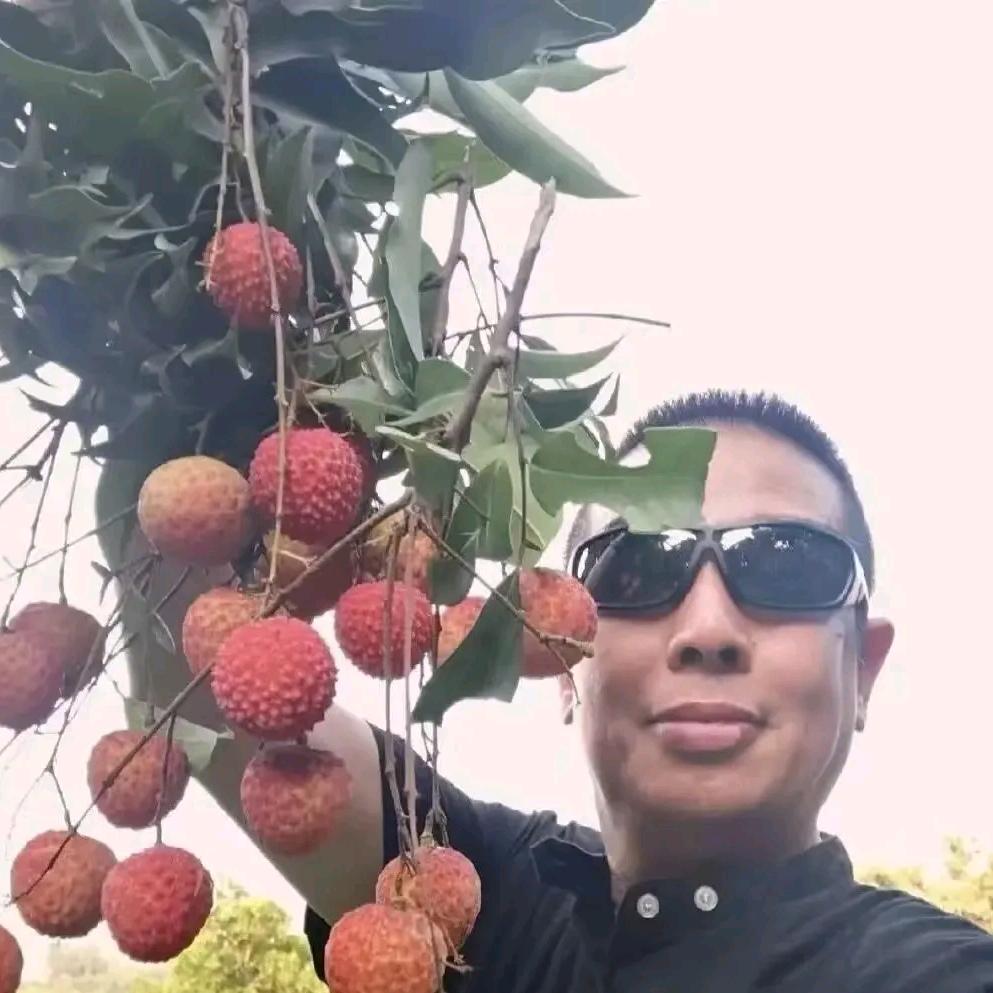 AAA 水果批发赵总