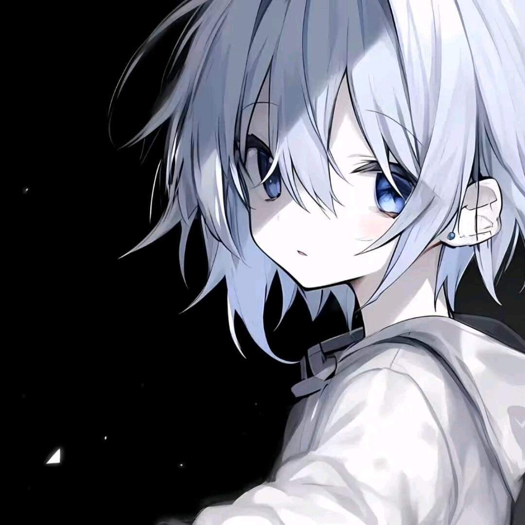 翔小飞QAQ（2w分百评韩信阿轲）