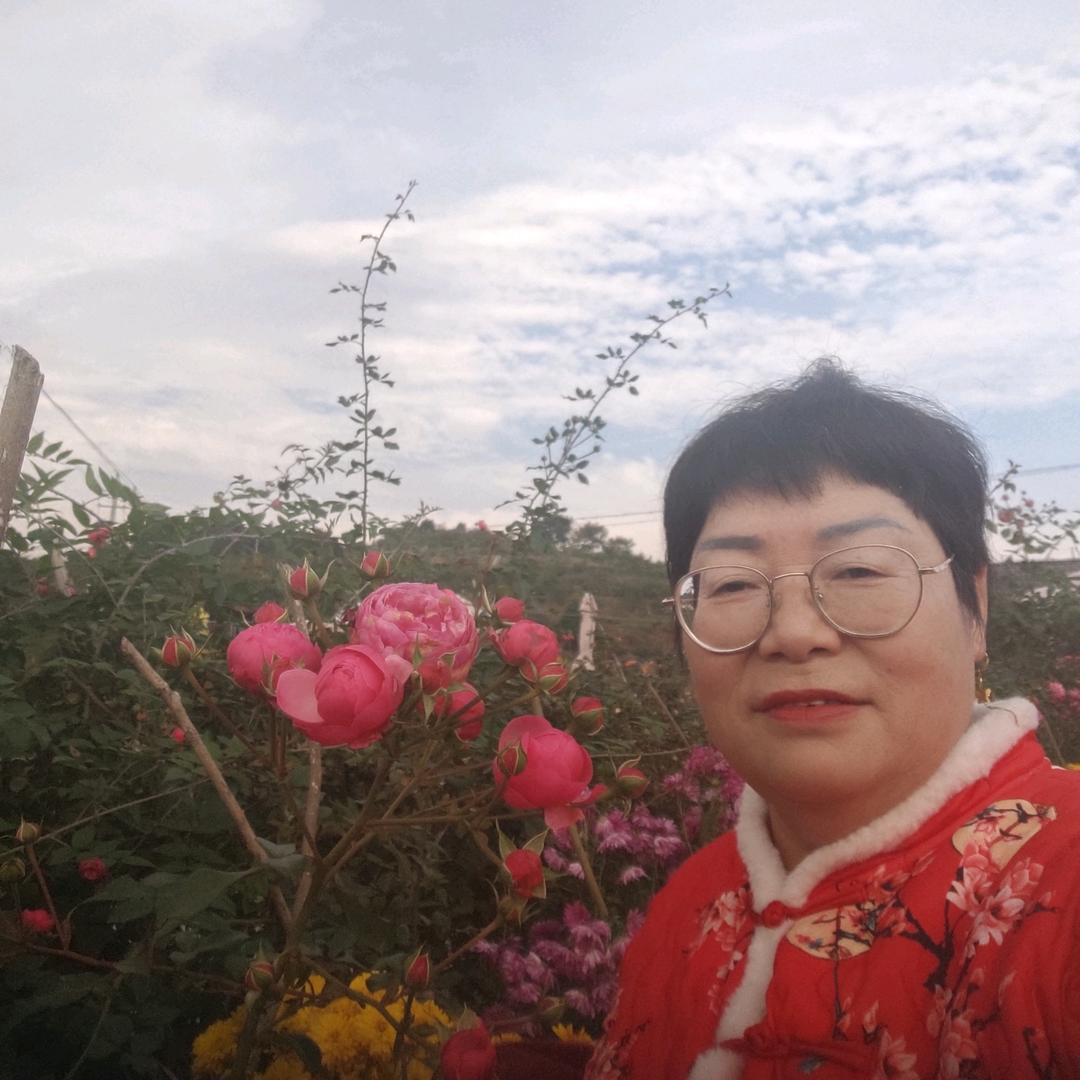 天天就开心