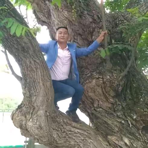 万事如意