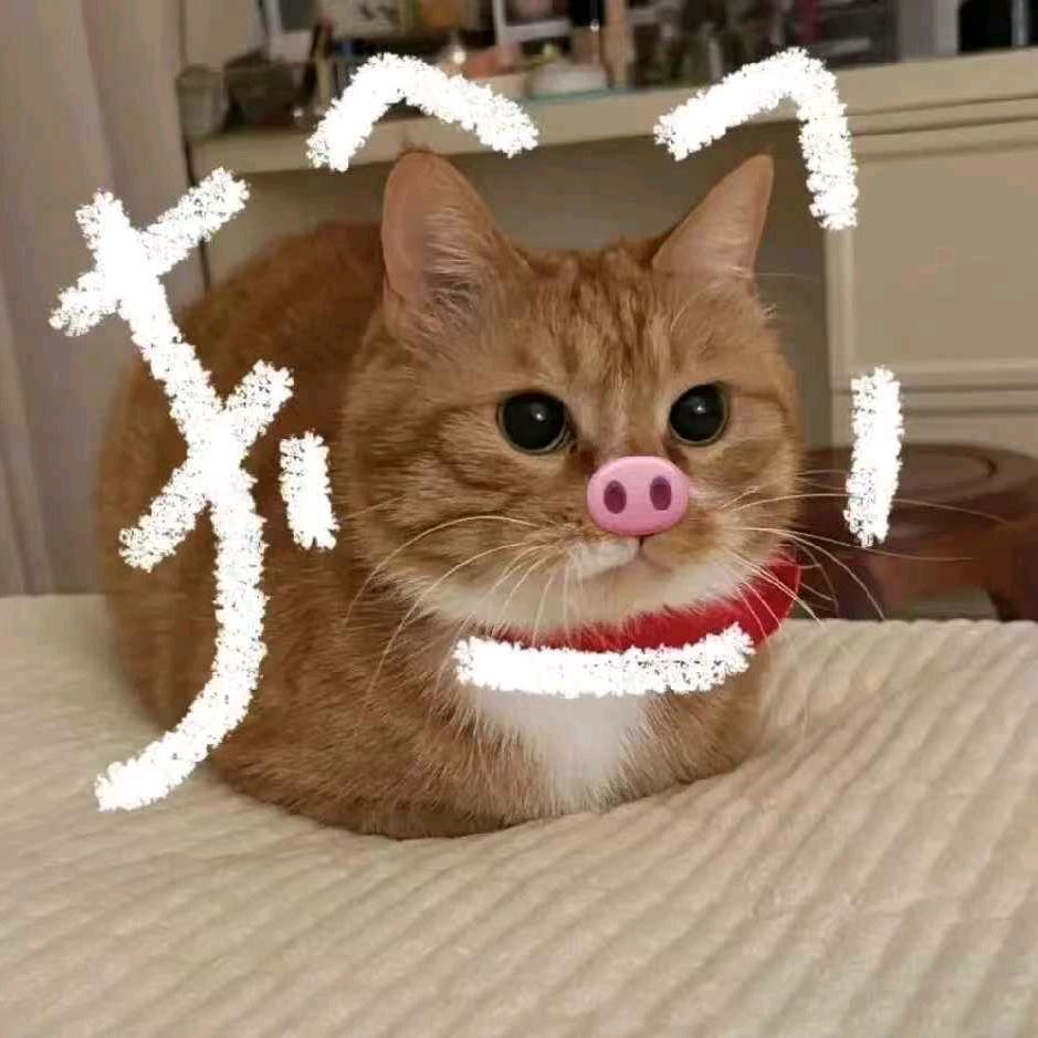 冷心黄猪