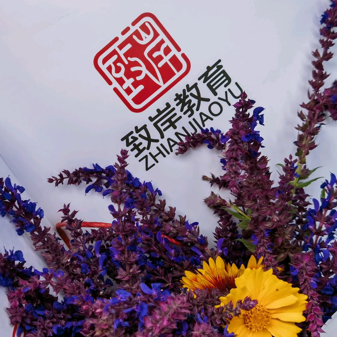 致岸艺术专升本
