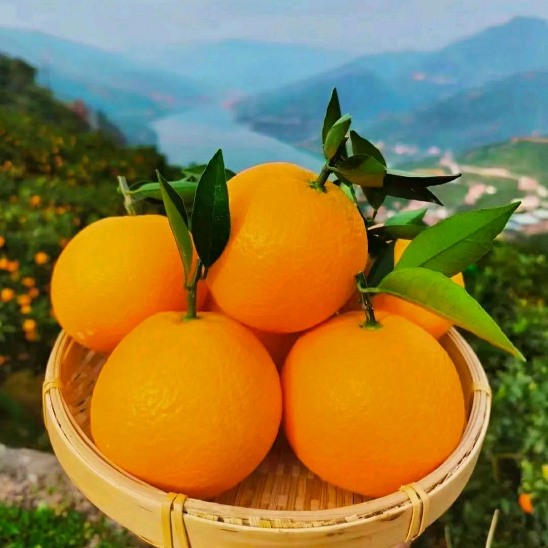 果新鲜