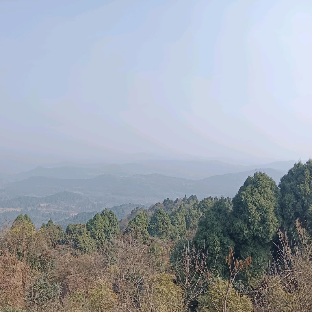 心忆