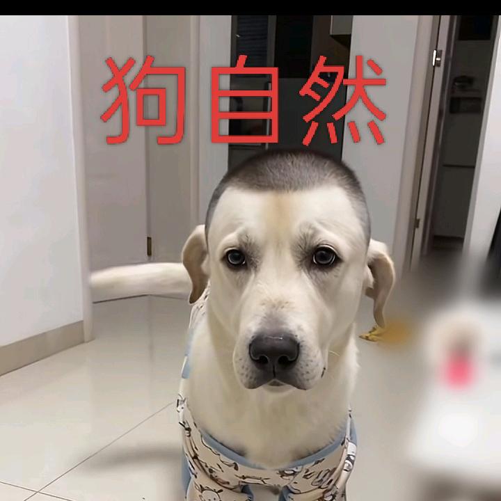ㅤㅤㅤㅤㅤㅤ阳ㅤㅤㅤㅤㅤㅤㅤㅤㅤㅤㅤㅤㅤ