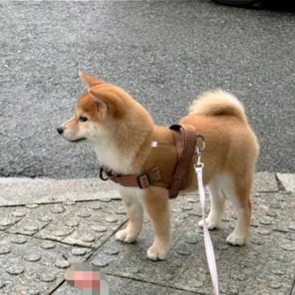 扬帆大叔~笔耕