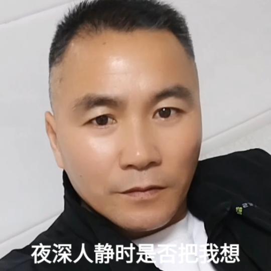 梦之狼