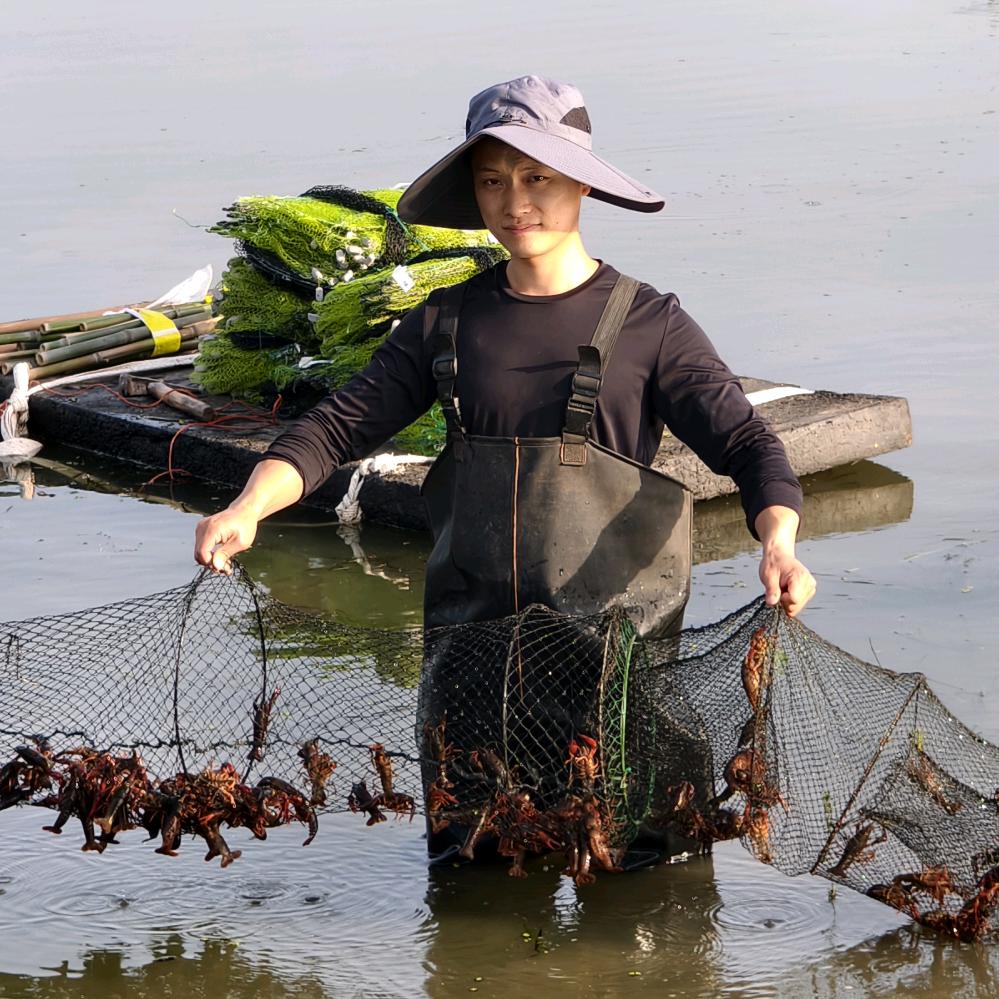 川渝虾苗批发（唐帅）