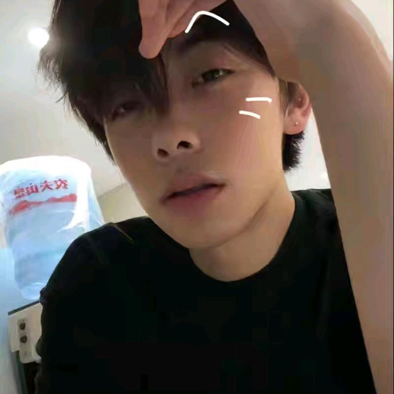 漂泊的候鸟