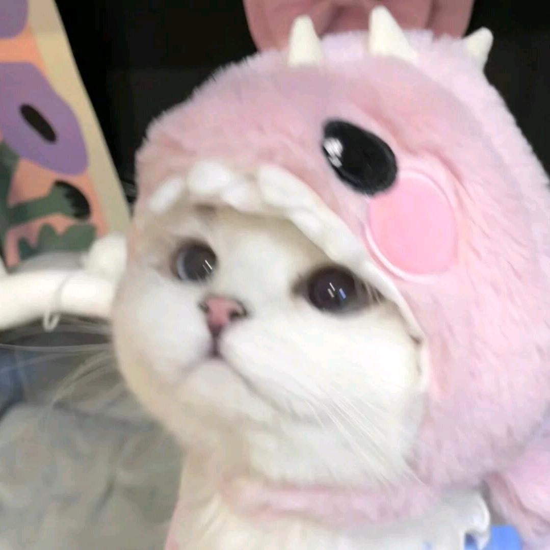 大喜er