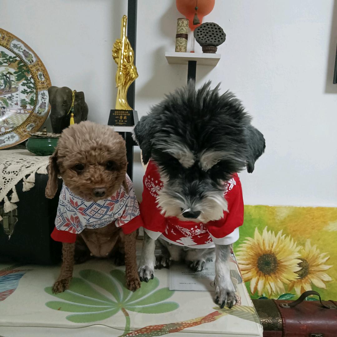 墨丽