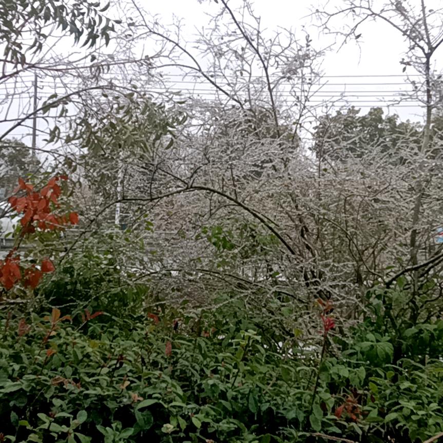 骑着蜗牛去散步