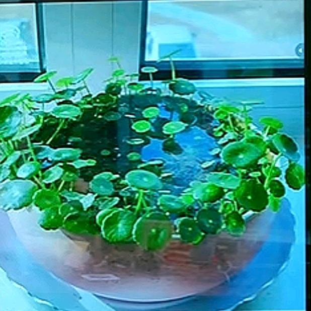 💞越来越好💕