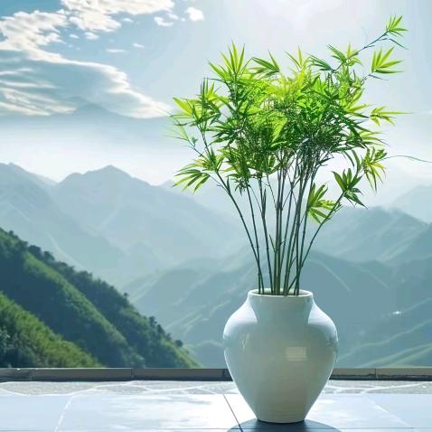 付嘉严选阁